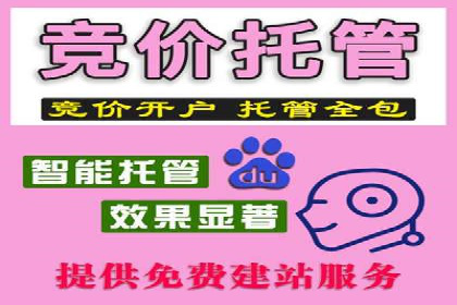 深入解析SEM账户竞价运营成功案例